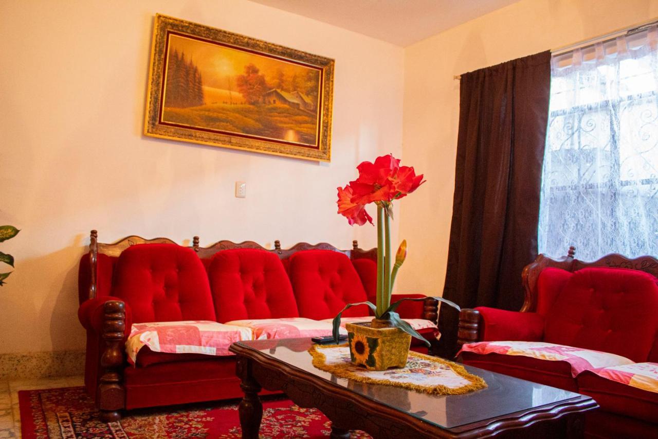 Villa Flores, Casa En El Centro De マスコタ エクステリア 写真