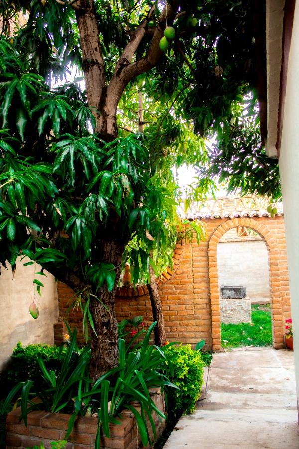 Villa Flores, Casa En El Centro De マスコタ エクステリア 写真