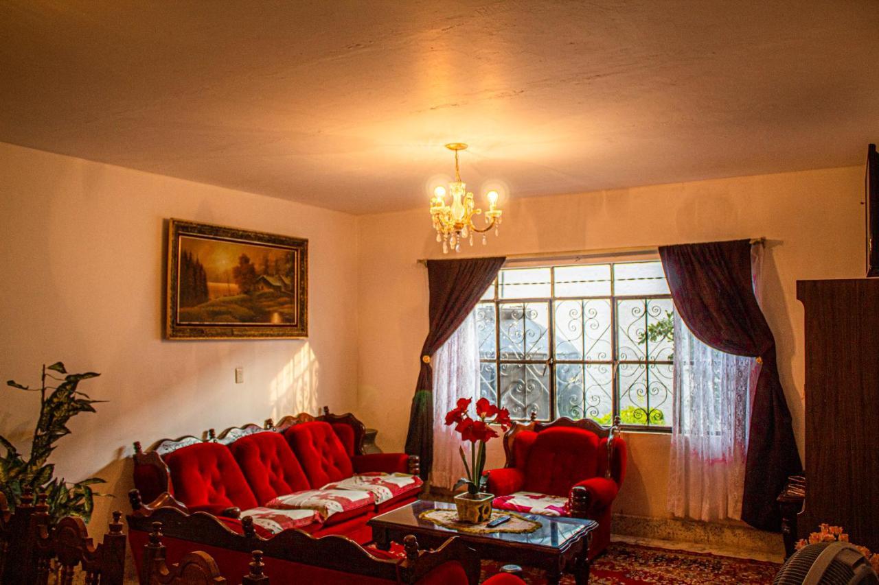 Villa Flores, Casa En El Centro De マスコタ エクステリア 写真